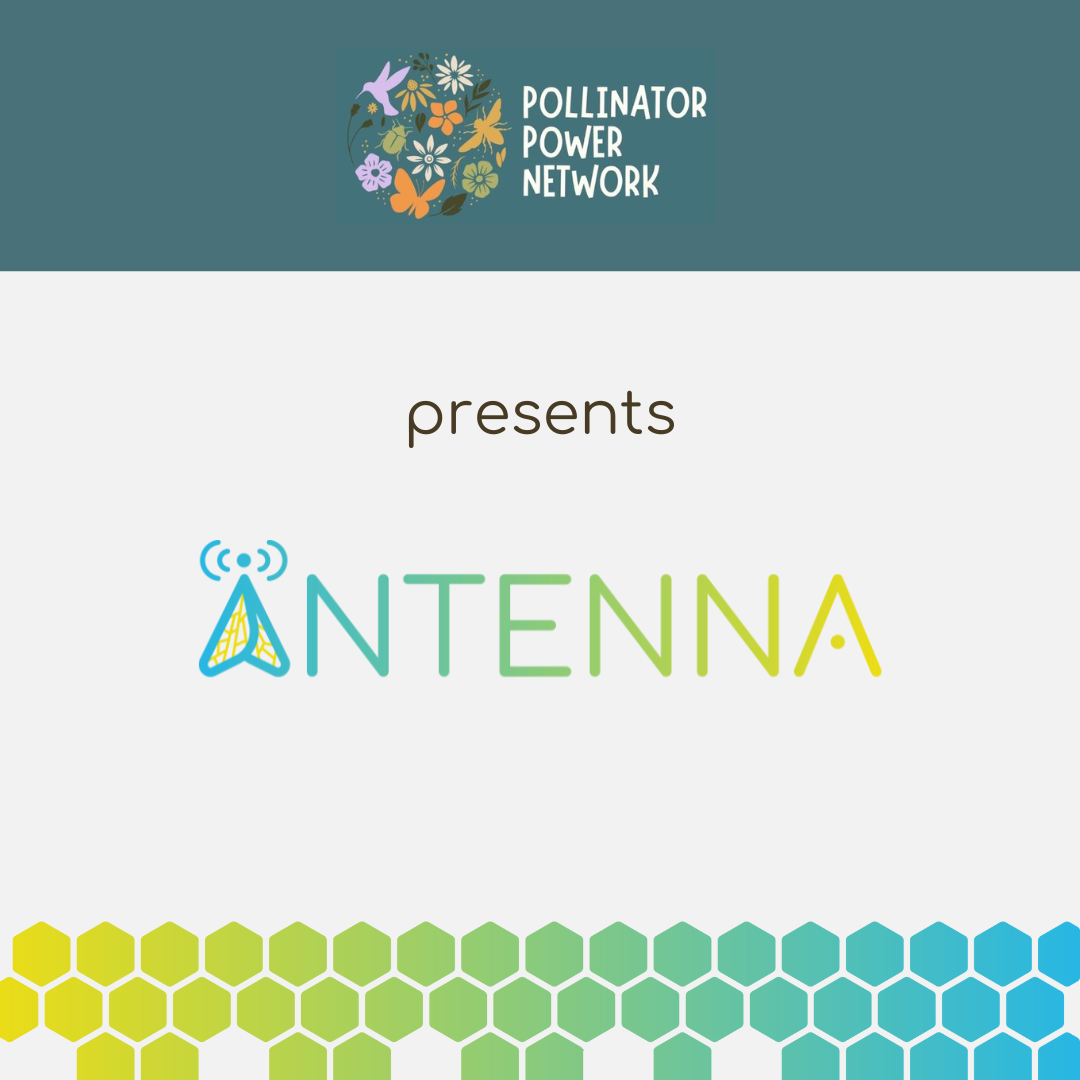 Pollinator Power Network presents ANTENNA