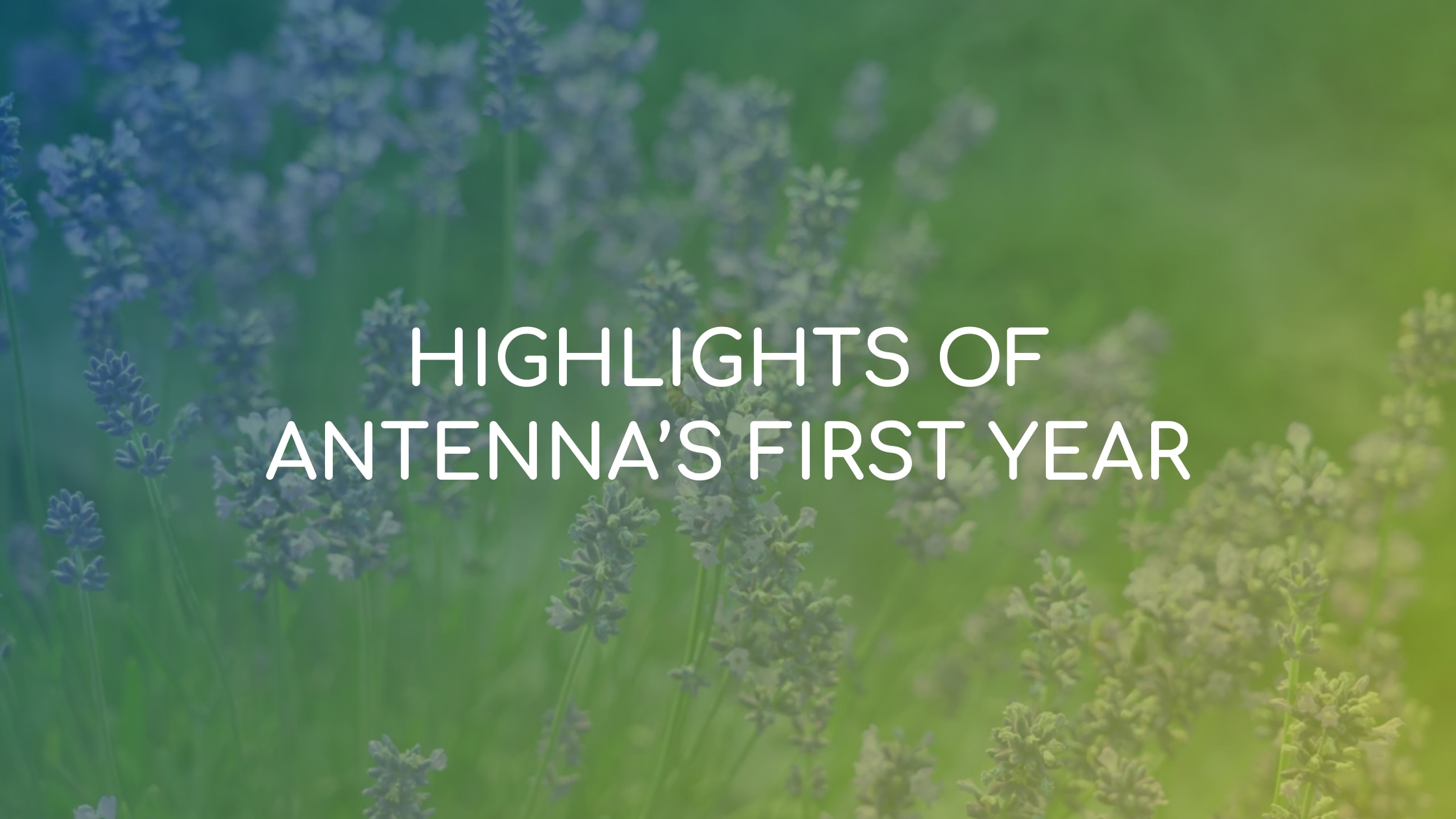 Highlights of ANTENNA's first year: New video recaps our 2024