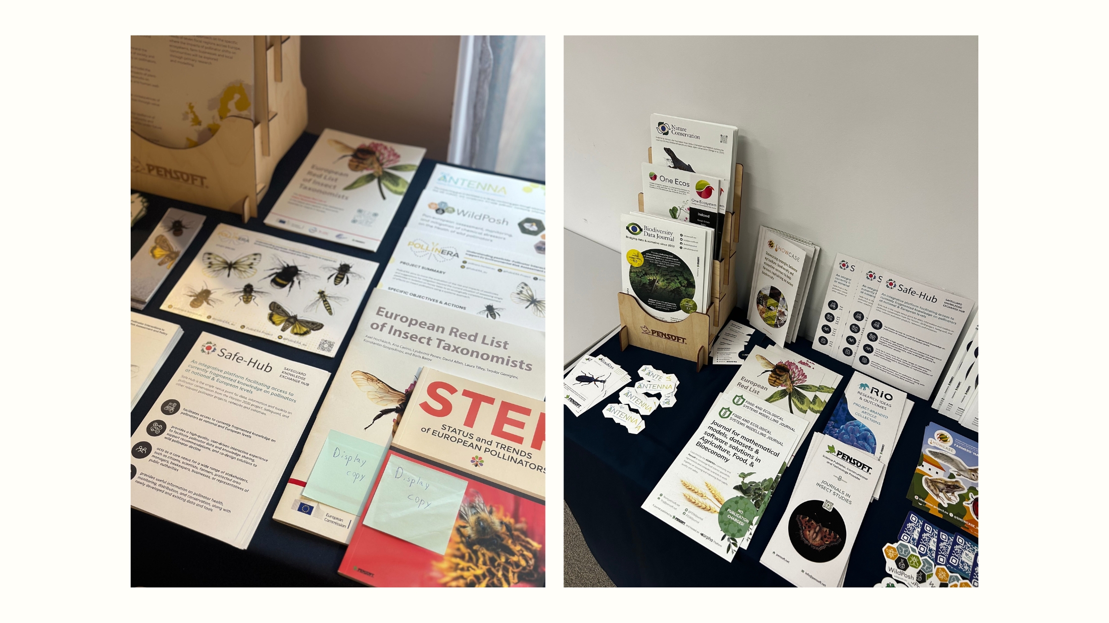 ANTENNA Showcased at the Meetings of EU Pollinator Projects